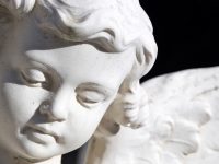 Suspendisse arcu nisl