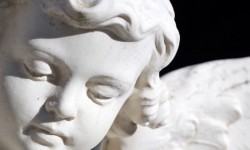 Suspendisse arcu nisl