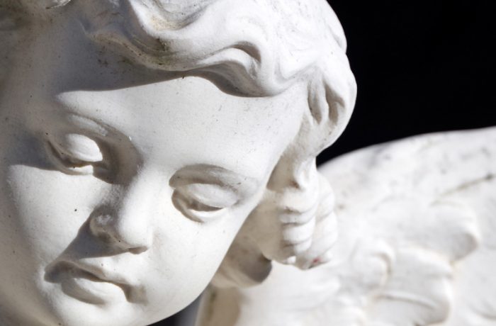 Suspendisse arcu nisl