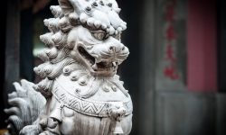 Lorem ipsum dolor sit