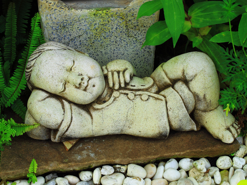 Etiam commodo convallis