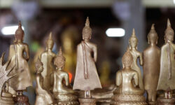 Praesent vestibulum aenean nonummy hendrerit mauris.