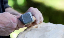 Praesent vestibulum aenean nonummy hendrerit mauris.