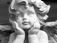 Praesent vestibulum aenean nonummy hendrerit mauris.