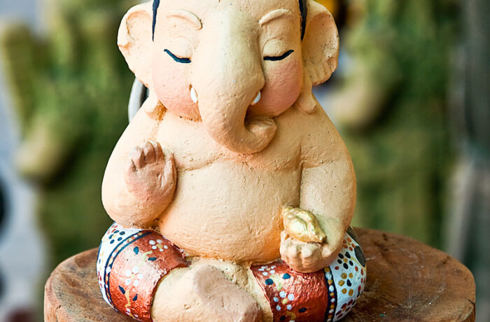 Sed blandit massa vel